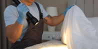 Urgence punaise de lit Lucciana – Intervention sous 2h 20290 (département Haute-Corse)