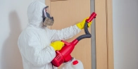 Urgence punaise de lit Bastia – Intervention sous 2h 20600 (département Haute-Corse)