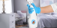 Urgence punaise de lit Colmar – Intervention sous 2h 68000 (département Haut-Rhin)